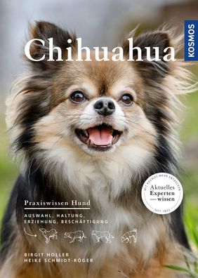 Chihuahua, Birgit Holler