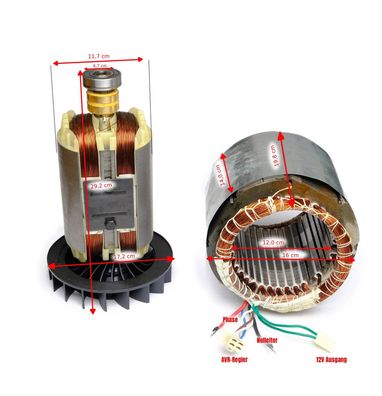 Spule Strom Generator Stator Rotor für Stromerzeuger 13 PS 1-Phase von DeTec