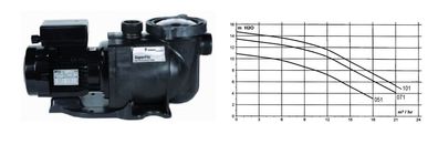 Poolpumpe Pentair Superflo 0,75kW 230V 25 QBM bei 2 Meter Förderhöhe