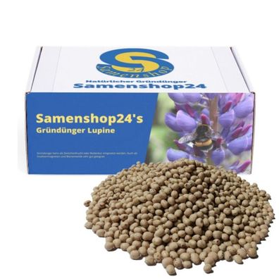 Samenshop24® Düngelupinen "Blaue Lupine", Gründünger & Bodenkur 2,5kg