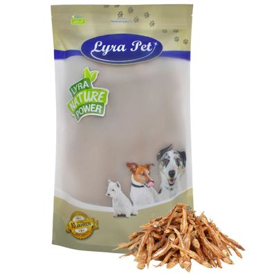 1 - 10 kg Lyra Pet® Kleine Fische