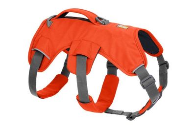 Ruffwear Web Master Geschirr Blaze Orange