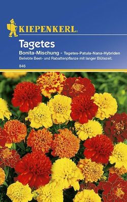 Tagetes patula niedrige Studentenblume Bonita-Mischung