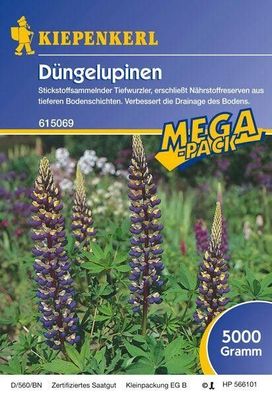 Düngelupinen Gründünger Blaue Lupinen 5kg