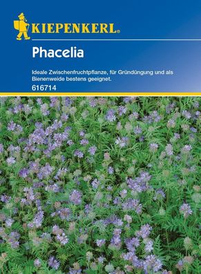 Phacelia 50gr, Ideale Zwischenfruchtpflanze, für Gründüngung und als