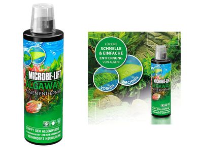 Microbe-Lift Algenentferner Algaway Süßwasseraquarien 473 ml