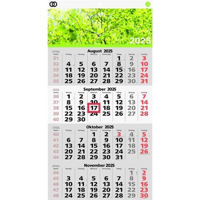 Soennecken Viermonatswandkalender oeco 2025 5103-25