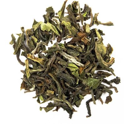 Schrader Schwarzer Tee Darjeeling First Flush Gielle FTGFOP1