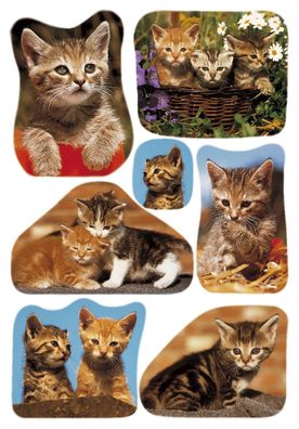 Herma 3527 3527 Sticker DECOR Katzenfotos