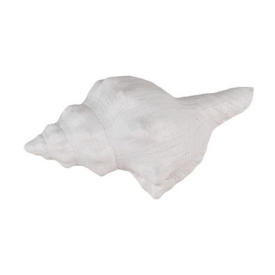 Clayre & Eef Türknauf Muschel 10x5x6 cm Weiß Kunststoff (Gr. 10x5x6 cm / S3 cm)