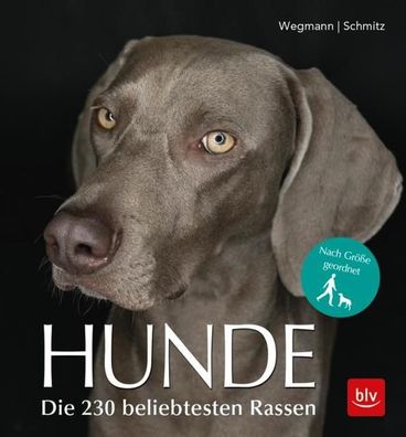 Hunde, Angela Wegmann