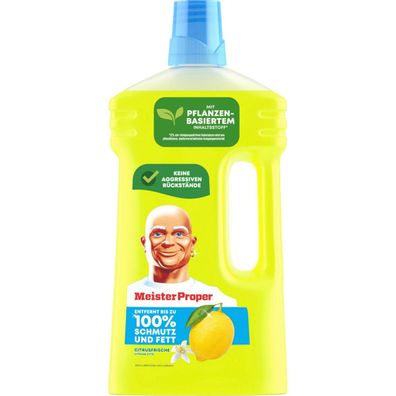 Meister Proper 8001090974112 Meister Proper Allzweckreiniger, 1 l, Citrusfrische