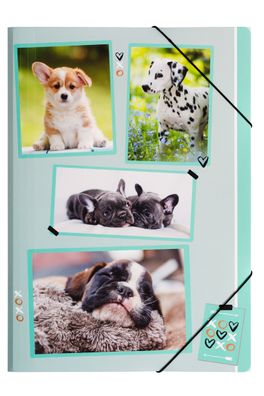 Pagna® 21716-15 Gummizugmappe xoxo Dogs - A4, 3 Einschlagklappen, PP