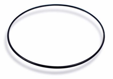 Dichtungsring Casio O-Ring schwarz EF-131D EF-527 10327190