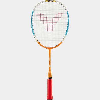 Victor Badminton Set Advanced