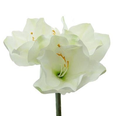 Prächtige Amaryllis Weiß - Stiellänge 56 cm - Kunstblumen