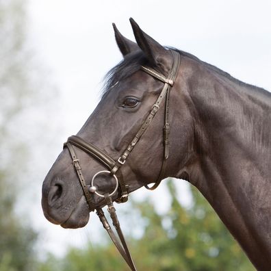 Kieffer Trensenzaum Ultrasoft - braun - Warmblut