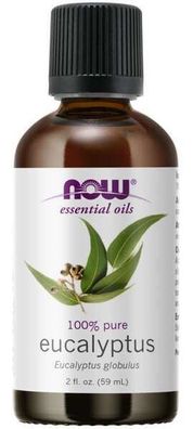 Essential Oil, Eucalyptus Oil - 59 ml