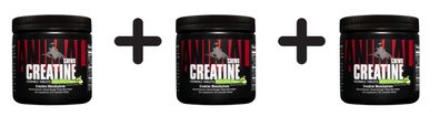 3 x Creatine Chews, Green Apple - 120 chewable tablets