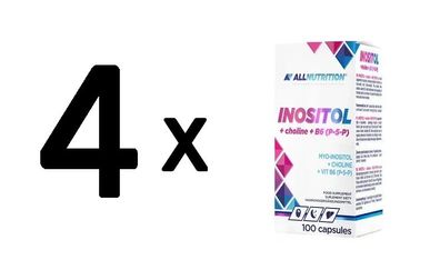 4 x Inositol + Choline + B6 (P-5-P) - 100 caps