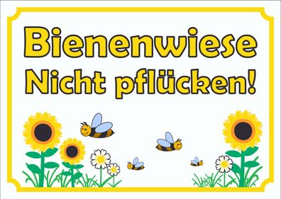 Schild Bienenwiese Nicht pflücken waagerecht