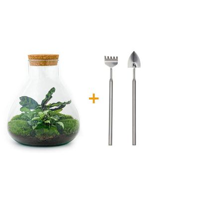 Flaschengarten - Sammie - Rake + Shovel - Ø22,5cm - 27cm - Ökosystem & Terrarium