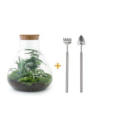 Flaschengarten - Sam XL Rake + Shovel - Ø29cm - 35cm - Ökosystem & Terrarium