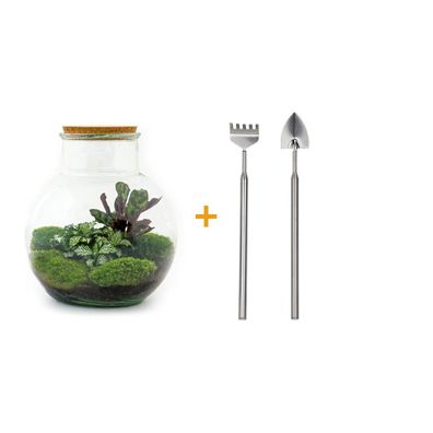 Flaschengarten - Teddy Rake + Shovel - Ø25cm - 26,5cm - Ökosystem & Terrarium