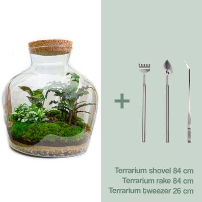 Flaschengarten - Fat Joe Rake + Shovel + Tweezer - Ø29cm - 30cm - Ökosystem & Te