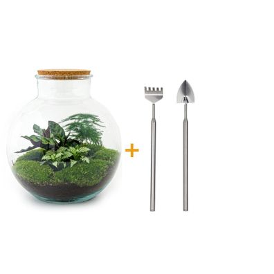 Flaschengarten - Bolder Bob Rake + Shovel - Ø31cm - 30cm - Ökosystem & Terrarium