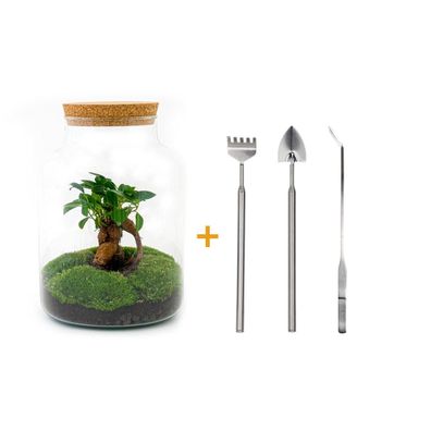 Flaschengarten - Milky mit bonsai Rake + Shovel + Tweezer - Ø21cm - 30cm - Ökosy