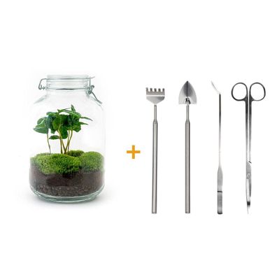 Flaschengarten - Coffea Arabica Rake + Shovel + Tweezer - Ø18cm - 28cm - Ökosyst