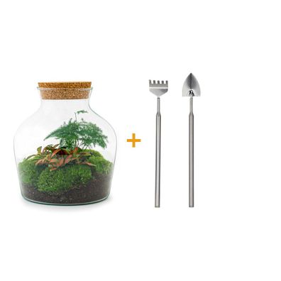 Flaschengarten - Little Joe Rake + Shovel - Ø20cm - 21,5cm - Ökosystem & Terrarium