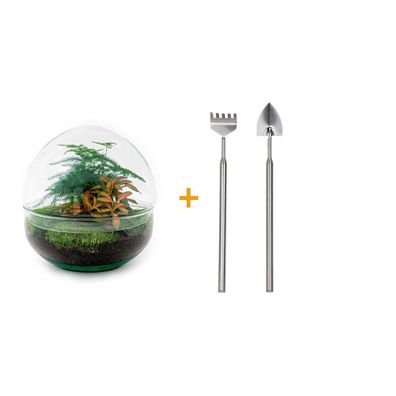 Flaschengarten - Dome Rot - Rake + Shovel - Ø20cm - 20cm - Ökosystem & Terrarium