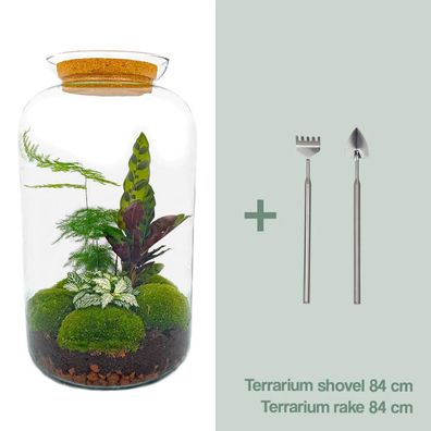 Flaschengarten - Botanical Sven XL Rake + Shovel - Ø23cm - 43cm - Ökosystem & Te