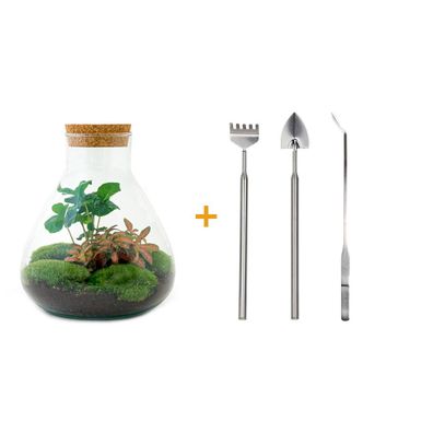 Flaschengarten - Sammie Coffea - 26 - Rake + Shovel + Tweezer - Ø22,5cm - 27cm