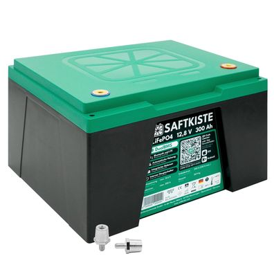 Saftkiste 300Ah LiFePO4 Lithium Akku Wohnmobil DualBMS inkl. App