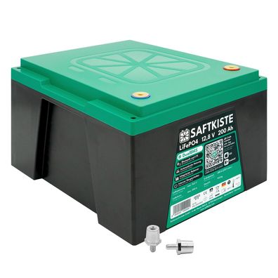 Saftkiste 200Ah LiFePO4 Lithium Akku Wohnmobil DualBMS inkl. App