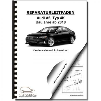 Audi A6 Typ 4K ab 2018 Achsantrieb hinten 0G2 0D3 0B0 09R Reparaturanleitung