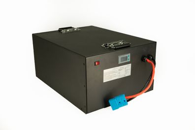 LiFePO4 Akku 48V (51,2V) 100Ah 100A Lithium-Eisen-Phosphat Batterie für Camping