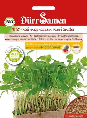 Dürr BIO-Keimsprossen Koriander, finden in vielen asiatischen und indischen