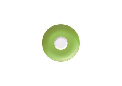 Thomas Sunny Day - Apple Green - Kaffee-Untertasse 10850-408527-14741