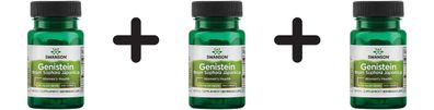 3 x Genistein from Sophora Japonica, 125mg - 60 vcaps