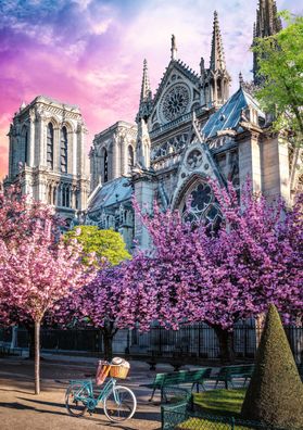 Notre Dame - Wunderschöne Kathedrale von Paris