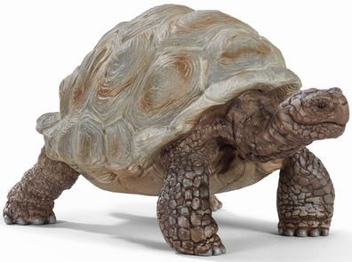 Schleich 14824 Wild Life Riesenschildkröte