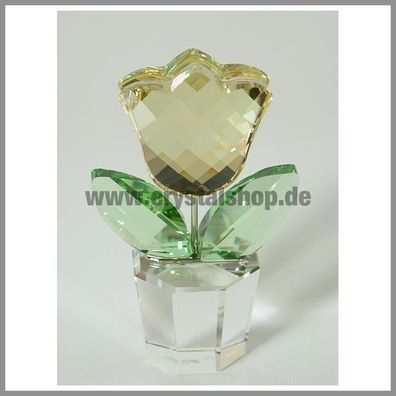 Swarovski Tulpe gelb tulip yellow 657110 AP2006