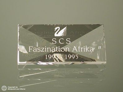 Swarovski SCS Serienschild Faszination Afrika