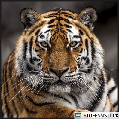 Stoff Kissen Panel Kunstleder Tiger 45 cm x 45 cm digital bedruckt