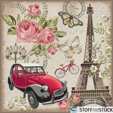 Stoff Kissen Panel Kunstleder Citroen Ente Paris 45 cm x 45 cm digital bedruckt