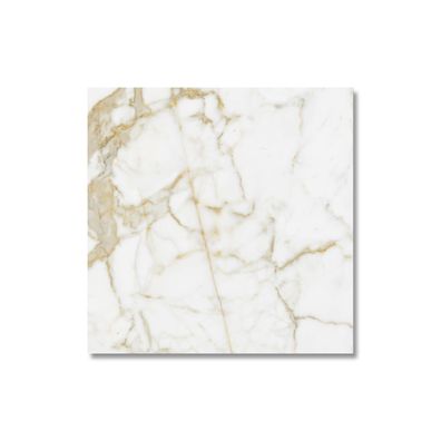 Musterfliese Belvit Genova Gold Marmor Glanz 60x60cm